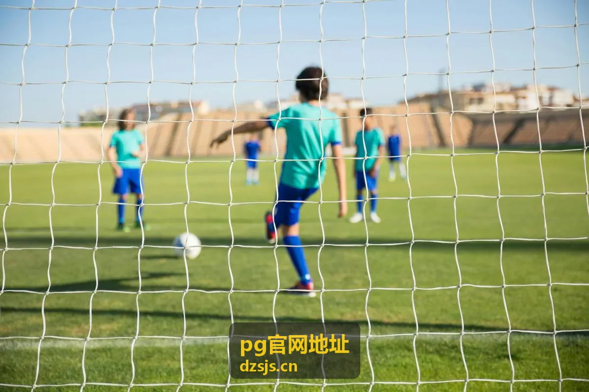 pg官网地址常见问题栏目展示图