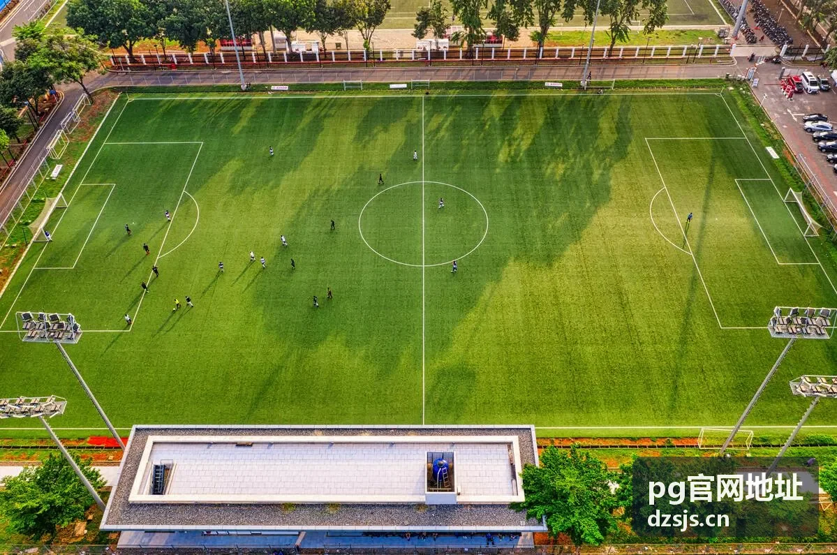 pg官网地址核对流程展示图